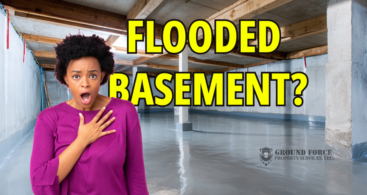 50 Basement Flooding Problems Without Proper Drainage