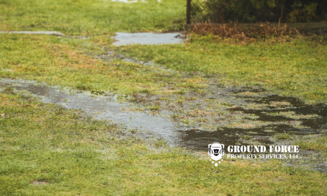 Constant Flooding in Your Fulton Backyard? Here’s How I Solve It with a French Drain