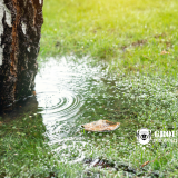 French drain Liverpool NY, clay soil drainage Liverpool NY, water pooling yard Liverpool, soggy lawn Liverpool NY, fix drainage issues Liverpool NY, yard flooding solution Liverpool, install French drain Onondaga County, landscape drainage contractor Liverpool, basement moisture Liverpool NY, custom French drain installer NY