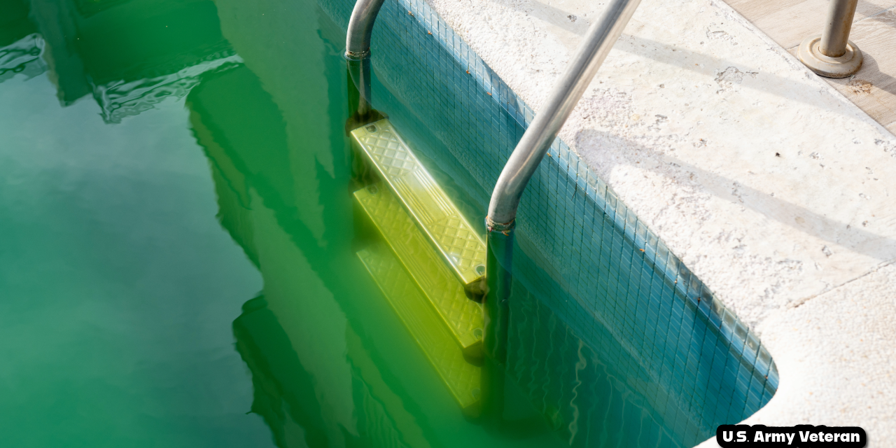 From Skaneateles to Camillus: What Pool Removal Day Actually Looks Like in Onondaga County